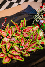Load image into Gallery viewer, Christmas Whimsy