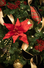 Load image into Gallery viewer, The New Classic