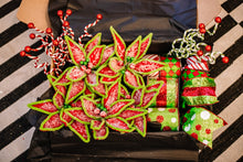 Load image into Gallery viewer, Christmas Whimsy